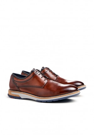 LLOYD DERO Smart shoes Herr Bruna | MWG231649