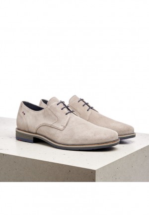 LLOYD LANGSTON Smart shoes Herr Grå | NSI148327