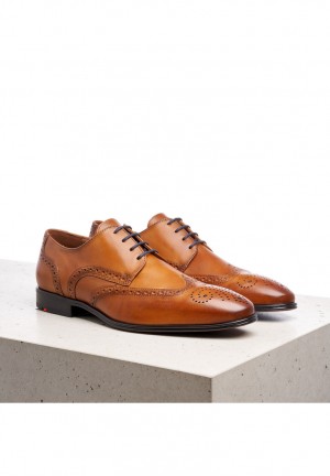 LLOYD MORTON Smart shoes Herr Bruna | KWL893175