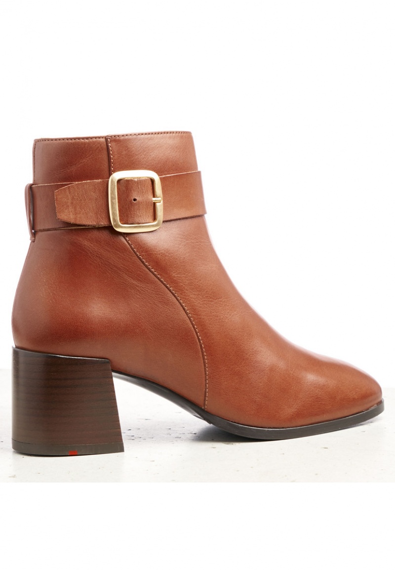 LLOYD ANKLE BOOTS Smart shoes Dam Bruna | AVH684571