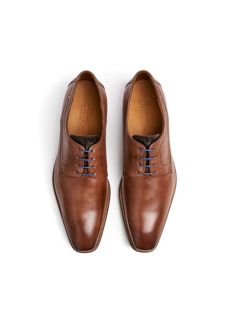 LLOYD DON Smart shoes Herr Bruna | JKS253978