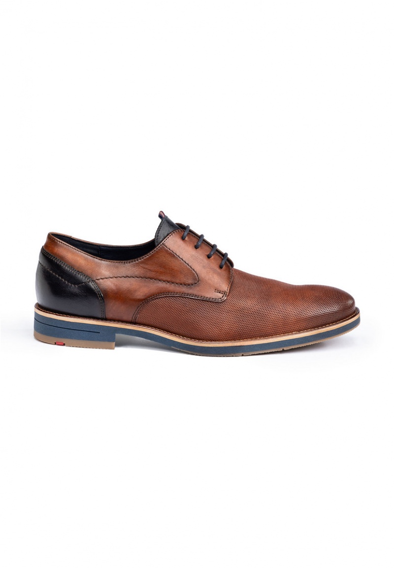 LLOYD HARRIS Smart shoes Herr Bruna | HGI835196