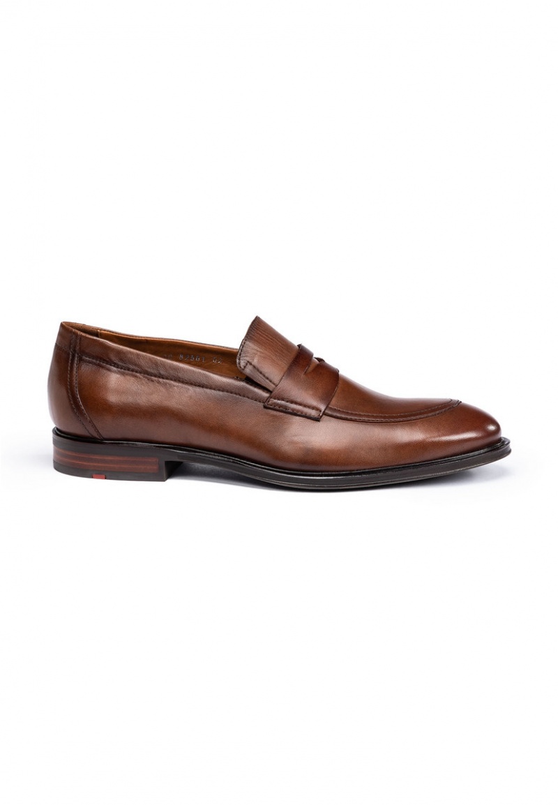 LLOYD MEDINA Smart shoes Herr Bruna | WJL678254