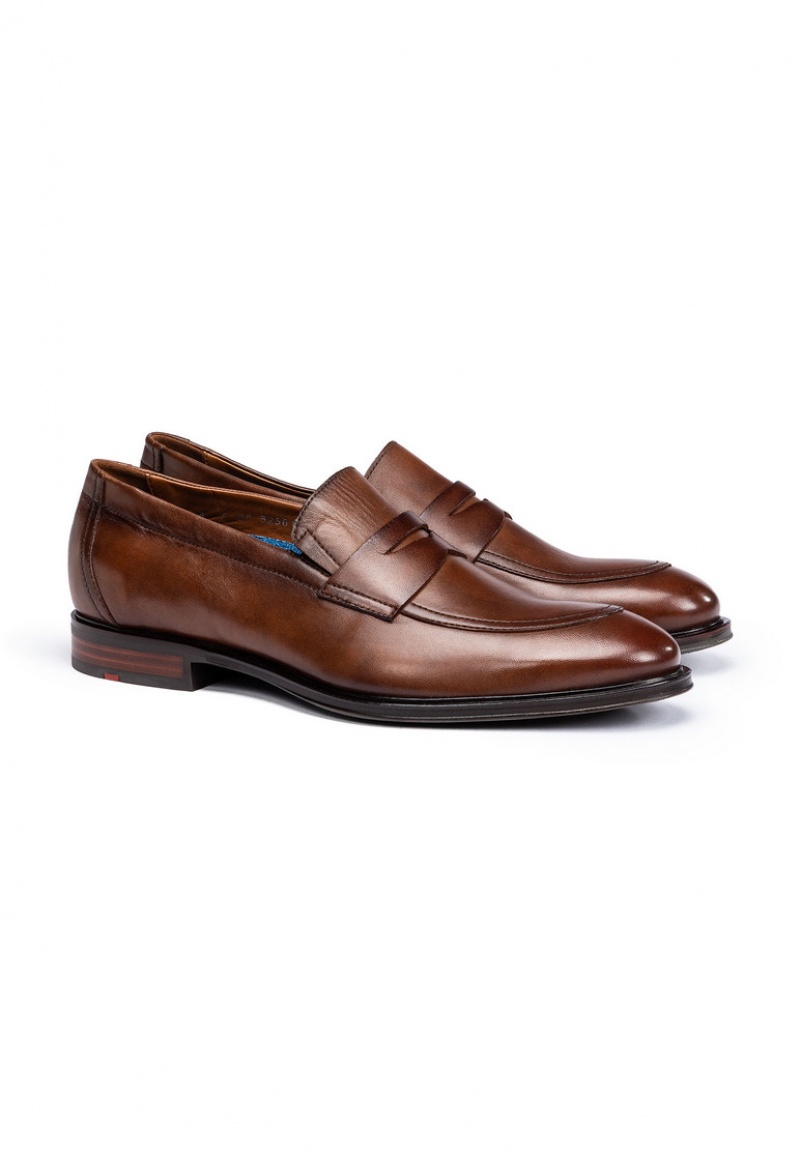 LLOYD MEDINA Smart shoes Herr Bruna | WJL678254