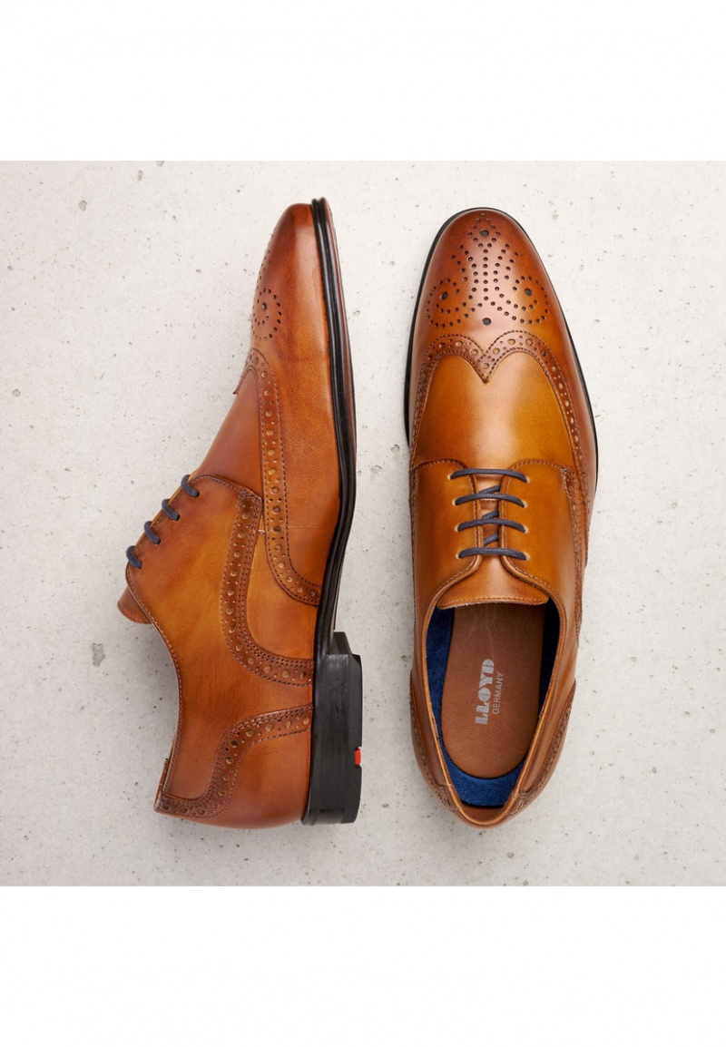 LLOYD MORTON Smart shoes Herr Bruna | KWL893175