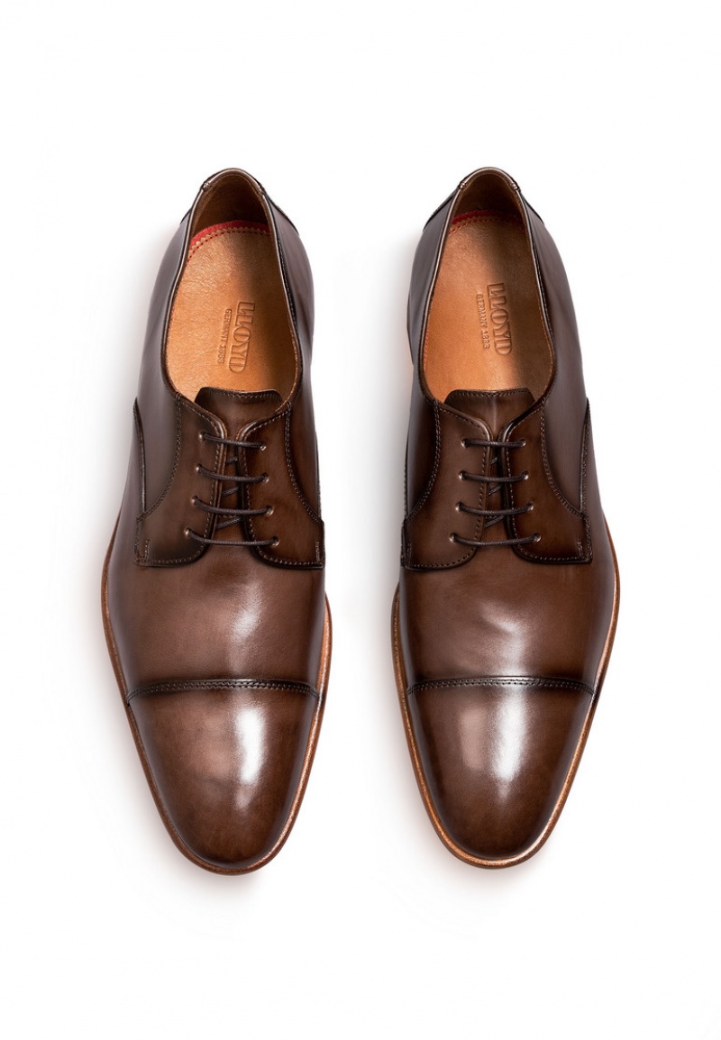 LLOYD NEWPORT Smart shoes Herr Bruna | VBG618094