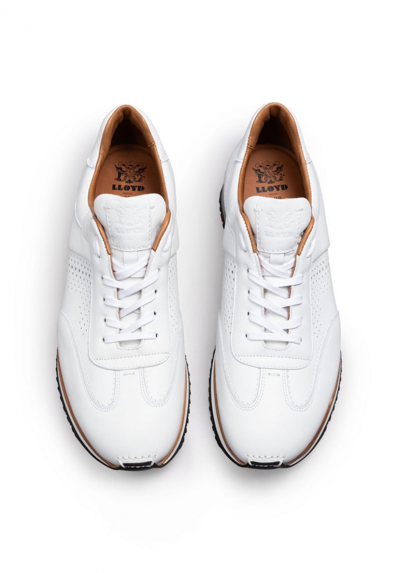 LLOYD WALCOTT Smart shoes Herr Vita | QXY826075